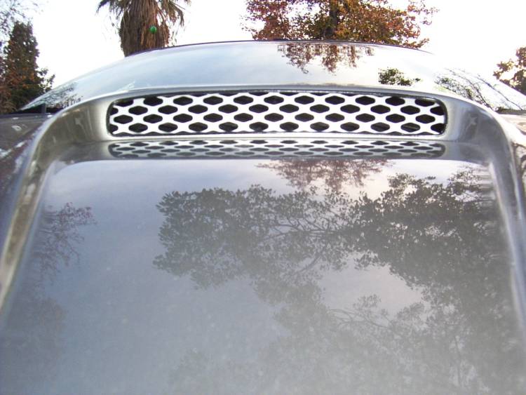 SS Custom Mesh Hoodscoop Grille
